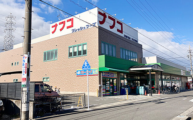 ナフコトミダ（約1,270m）