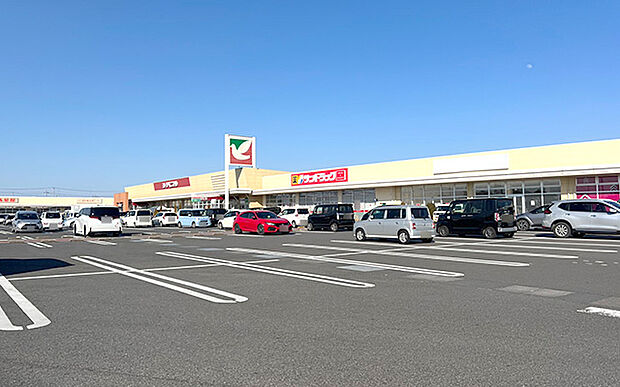 ヨークベニマル 結城四ツ京店(約1,310m)