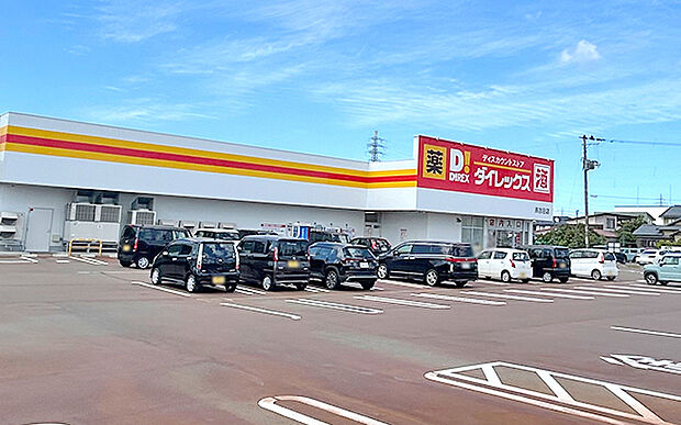 ダイレックス燕吉田店（約500m）