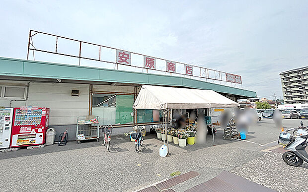 安原商店(約770m)