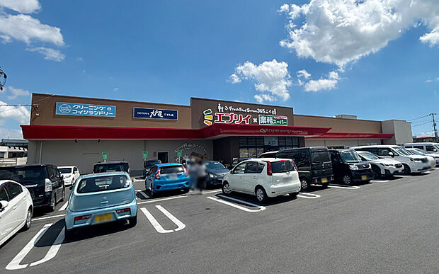 エブリイ円山店(約960m)