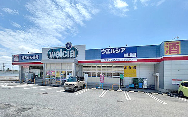 ウエルシア前橋上新田店(約600m)