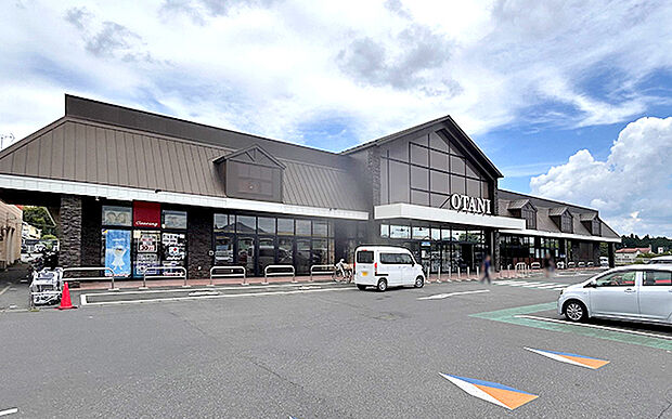 フードオアシスオータニ大沢店(約360m)