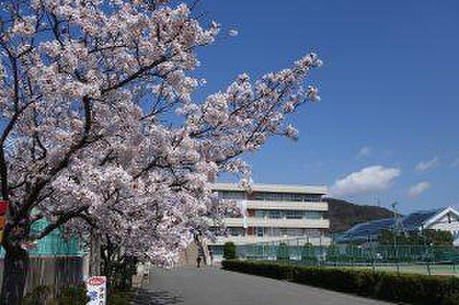 【学校】印西市立滝野中学校