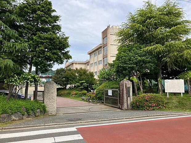 市立国府津中学校(約290m)