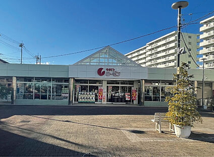 相鉄ローゼン杉久保店 約900m～910m(徒歩12分)