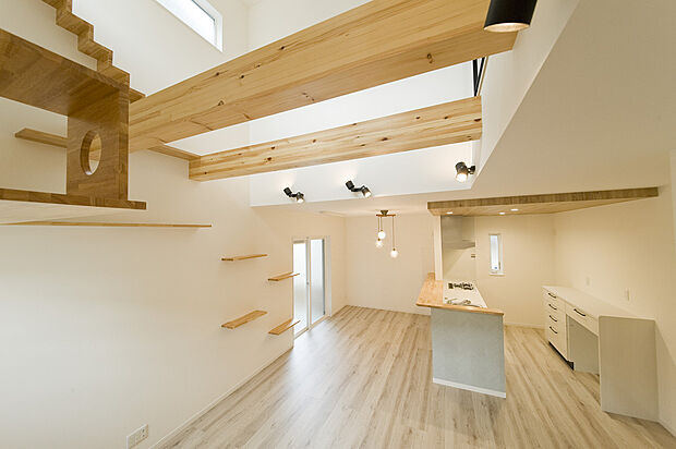 キャットアスレチックはリビングと繋がっており、ペットの楽しむ姿と共にお料理等行えます。（当社施工例）