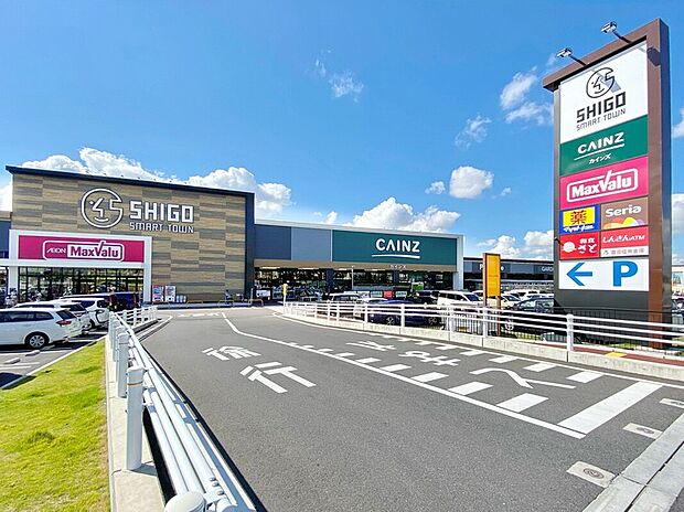 四郷スマートタウン(カインズホーム・マックスバリュなど） 