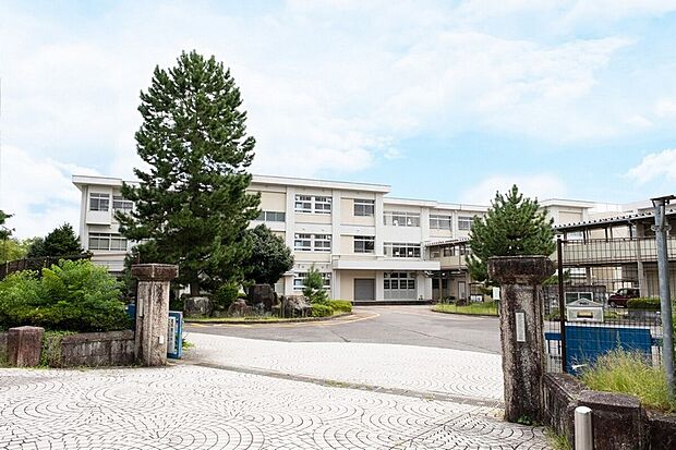 豊田市立青木小学校（約1m）