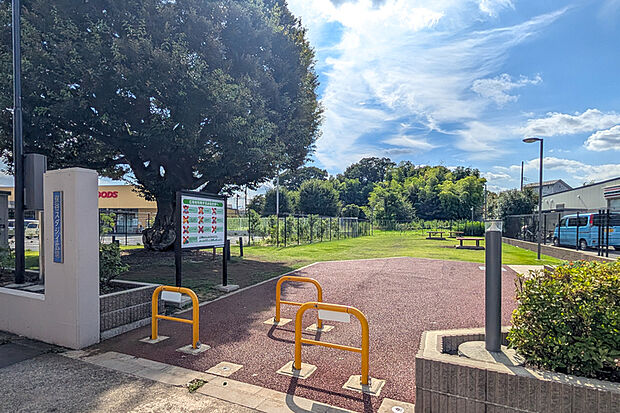 保谷スダジイ広場(現地より徒歩4分)