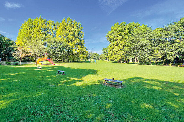 秋ヶ瀬公園（現地より徒歩22分）