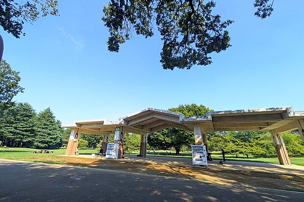 光が丘公園 (光丘高校口)(現地より徒歩16分)