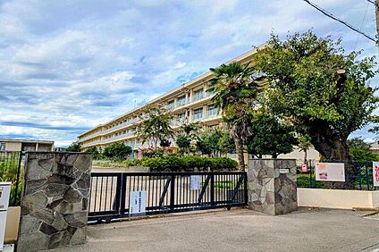 南陵中学校/徒歩19分 約1490m