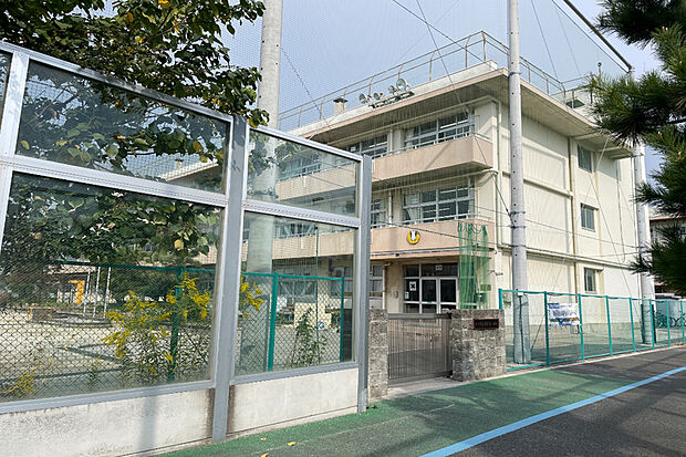 冨貴島小学校/徒歩5分
