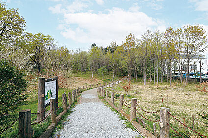 西原自然公園（現地より徒歩13分） 約1000m