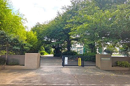 竹間沢小学校/徒歩3分 約240m