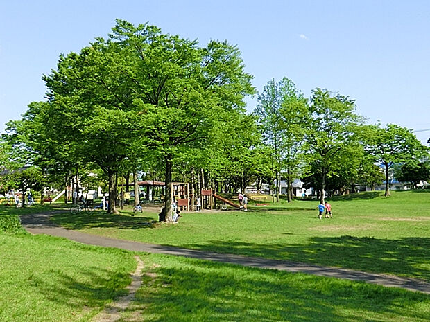 北野台中央公園（約597m）