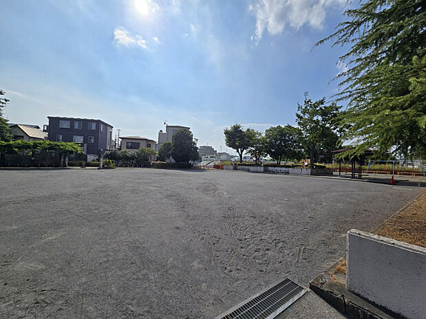 菖蒲沢公園（約599m）