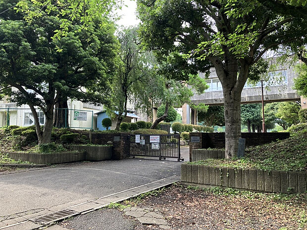 相模原市立上溝中学校（約500m）