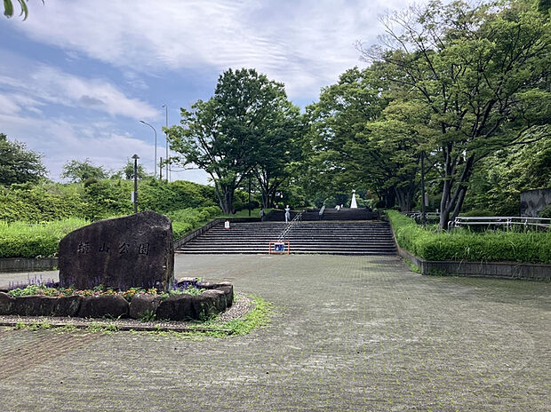 横山公園（約300m）