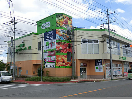 コープ指扇店 807m