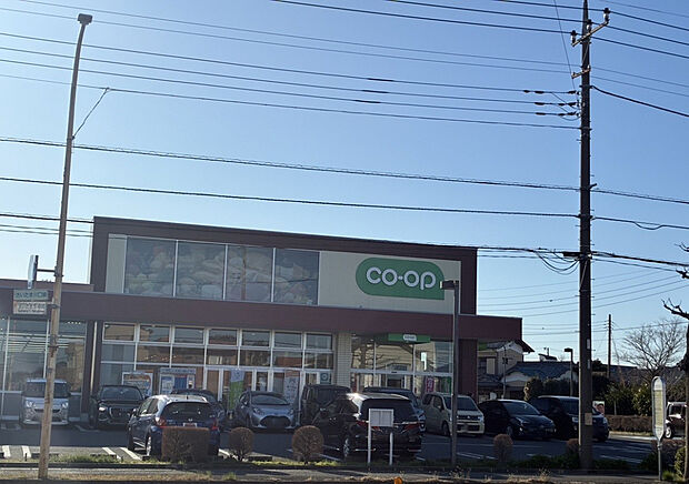 コープ大宮中川店（約800m）