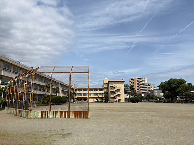 小田原市立酒匂小学校（約240m）