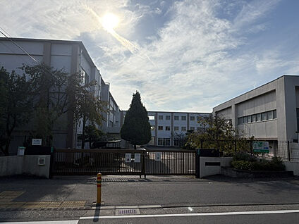 茅ヶ崎市立柳島小学校 600m