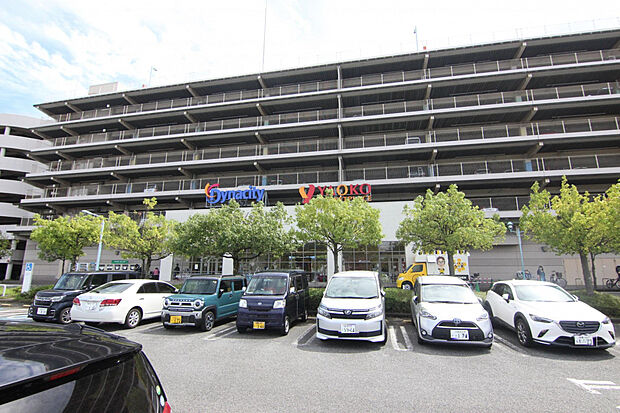 ヤマコー小田原ダイナシティ店（約748m）