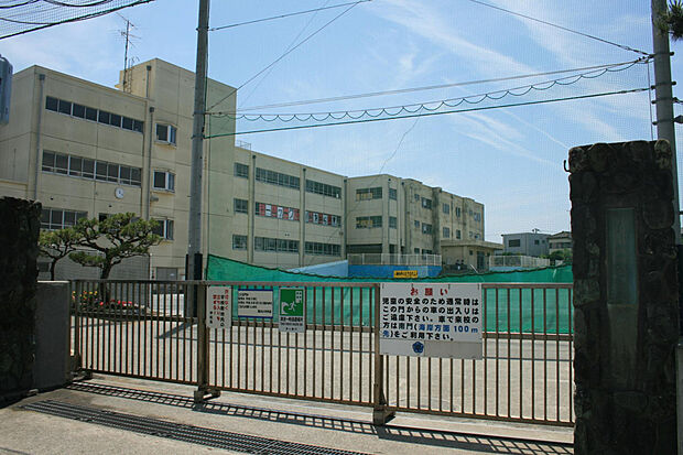 茅ヶ崎市立西浜小学校（約208m）