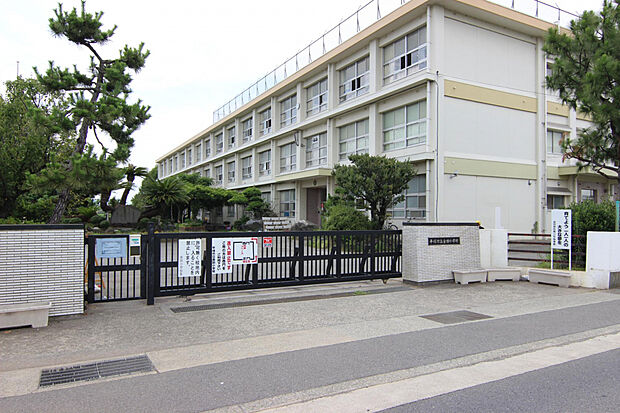 平塚市立金田小学校（約974m）