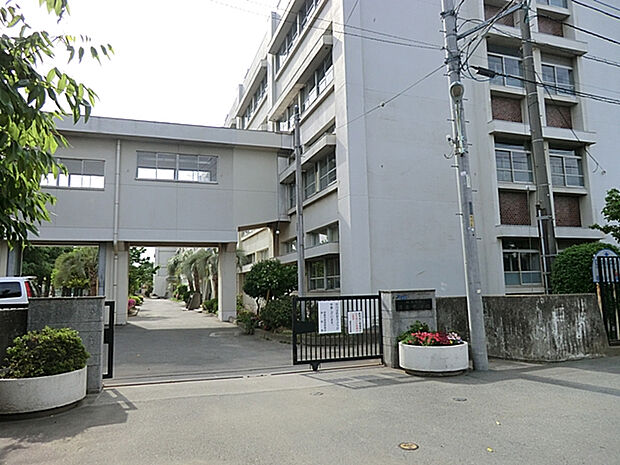 市立清泉中学校（約563m）