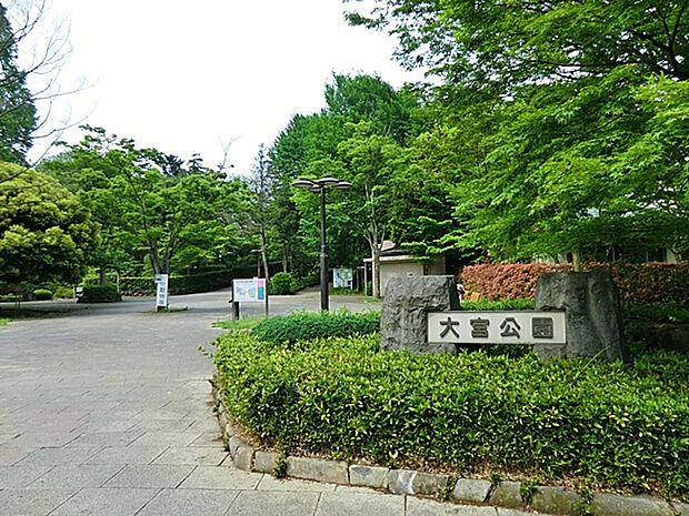 大宮公園（約973m）