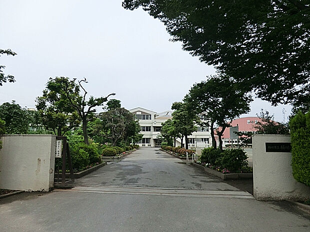 桶川中学校（約239m）