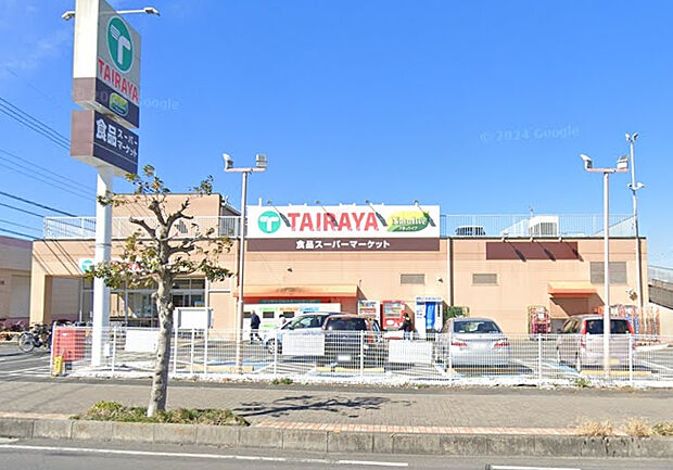 エコスTAIRAYA武蔵藤沢店（約529m）