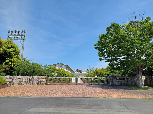 浜松市立雄踏中学校（約550m）