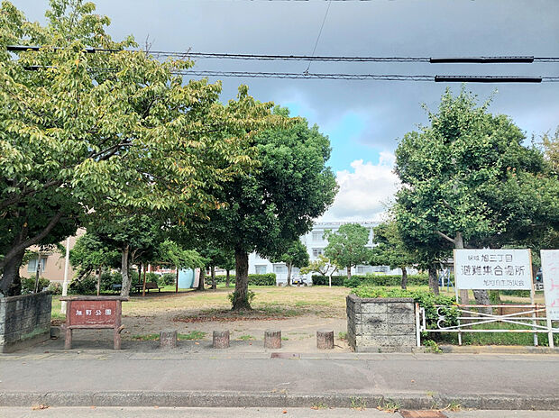 旭町公園（約500m）