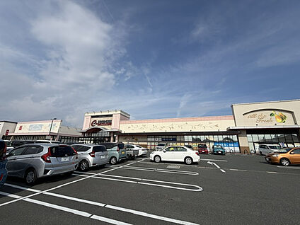 遠鉄ストア フードワン南浅田店 900m