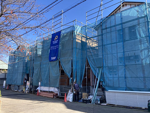 ★販売現地★2025.11.29　撮影　