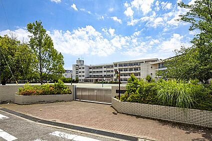 小田原市立富士見小学校 260～370m(4～5分)