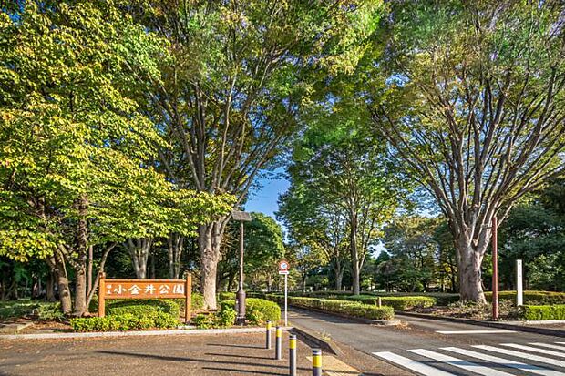 都立小金井公園（約1,580m・徒歩20分）