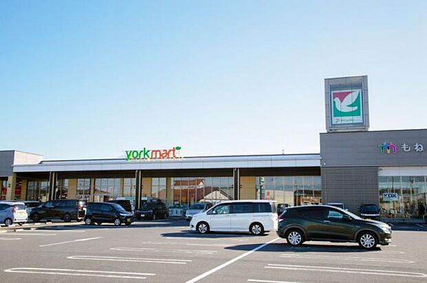 ヨークマートもねの里店（徒歩12～13分）（徒歩12分）