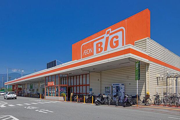 ザ・ビッグ甲府長松寺店（約1,030m・徒歩13分）