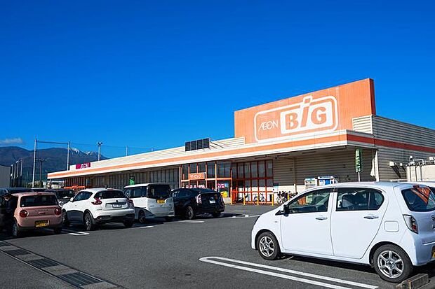 ザ・ビッグ甲府長松寺店(約330m・徒歩5分)