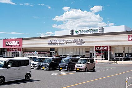 ライフガーデン茂原（カスミ・ウエルシア他） 540m(7分)