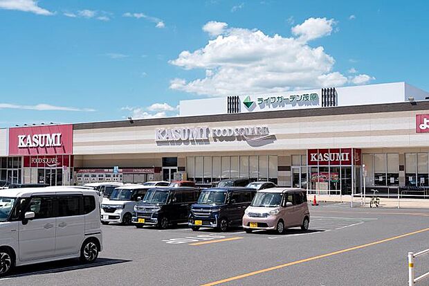 ライフガーデン茂原(カスミ・ウエルシア他)(約540m・徒歩7分)