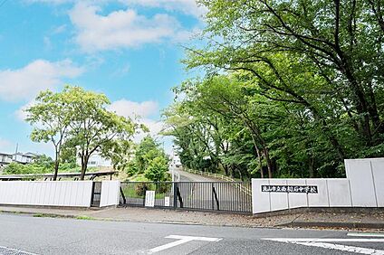 流山市立西初石中学校 510m(7分)