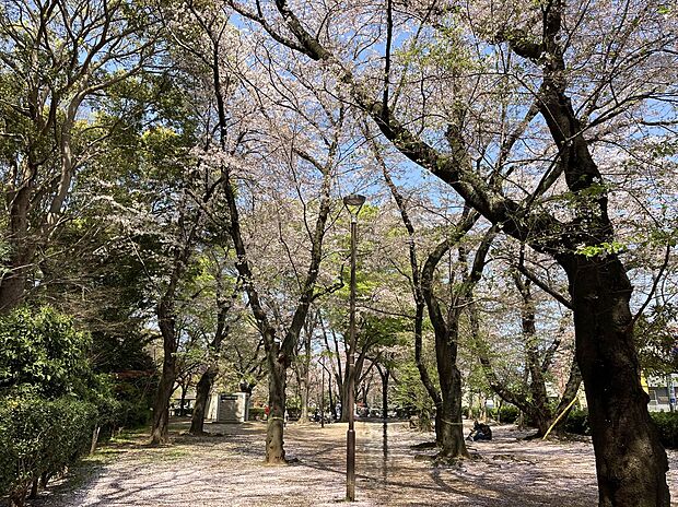 御滝公園(約555m)