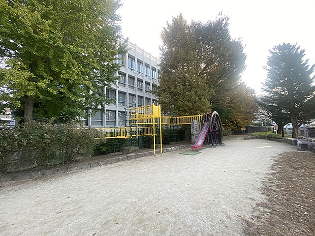 玉川上水公園