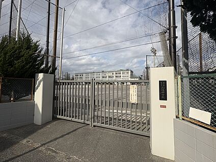 向陽中学校 約320m(徒歩4分)